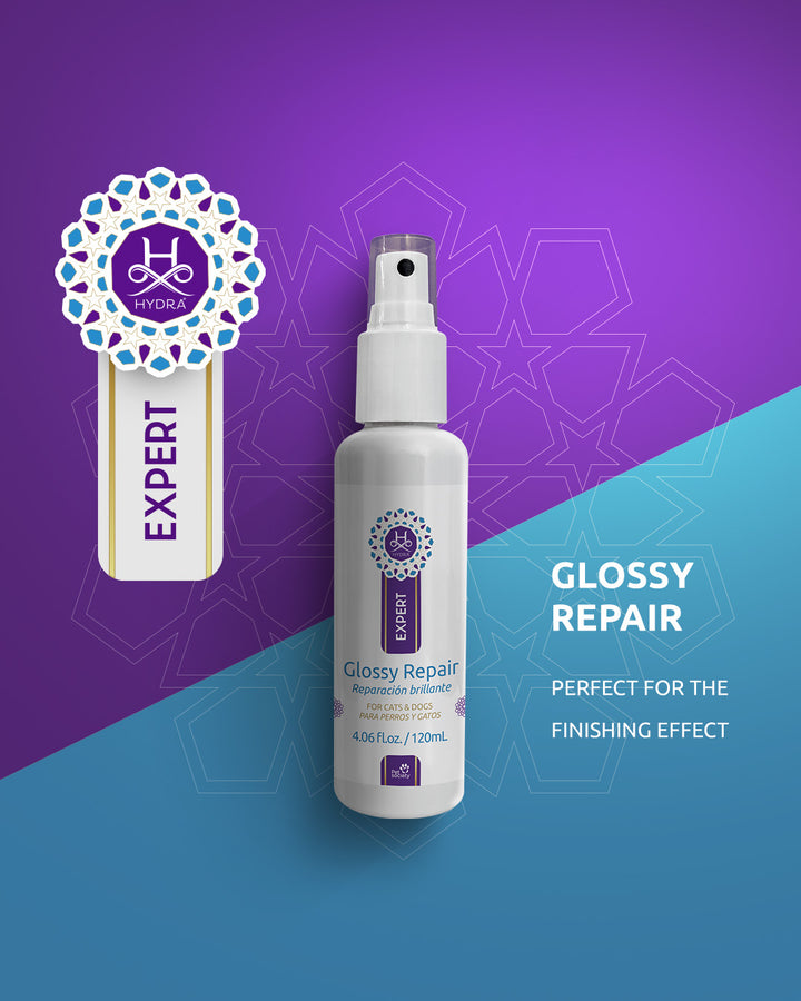 Hydra Expert Glossy Repair