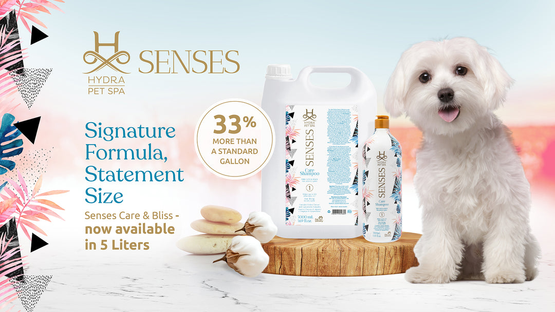 Hydra Senses Care Shampoo