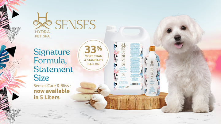 Hydra Senses Care Shampoo